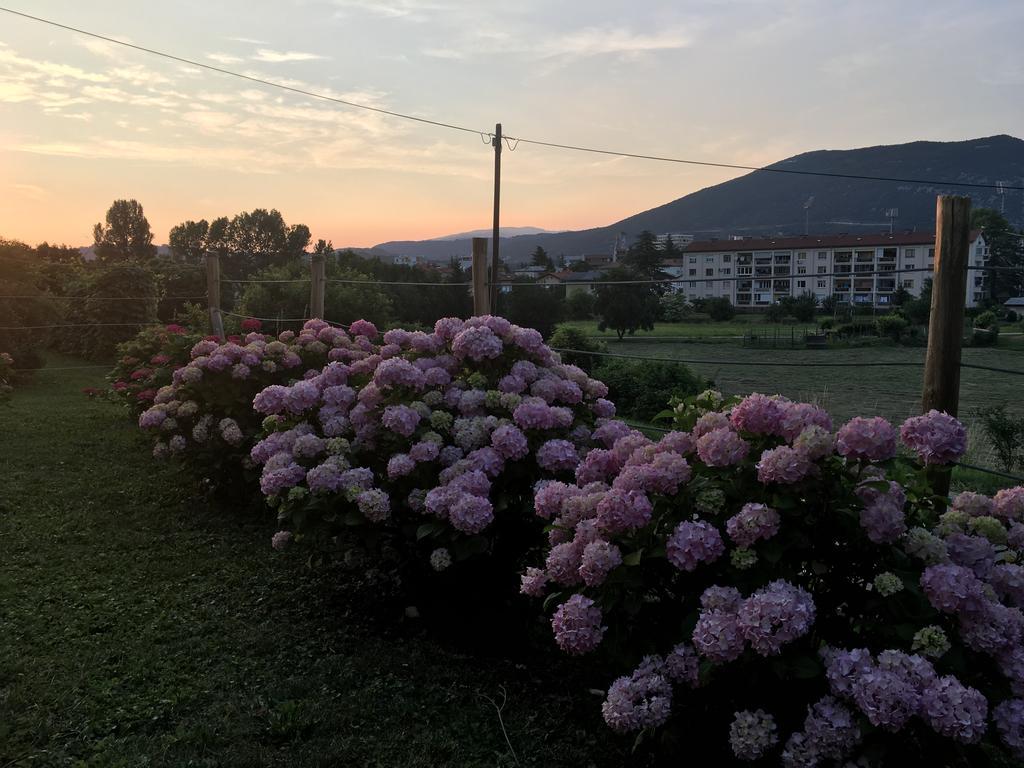 Apartment Nova Gorica - Nocitve Falco Экстерьер фото
